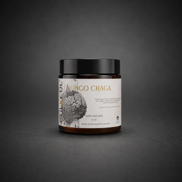 Hongo Chaga (Inonotus Obliquus)