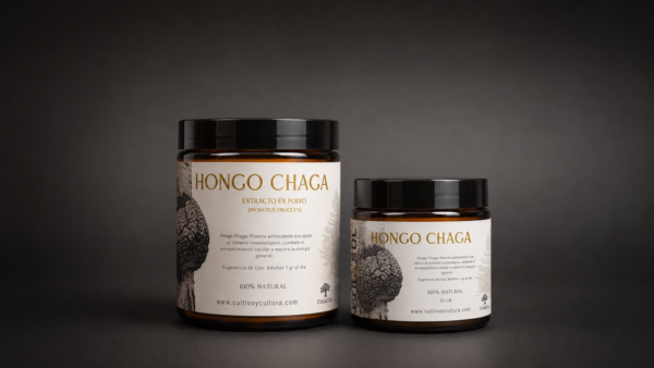Hongo Chaga (Inonotus Obliquus) - Imagen 2